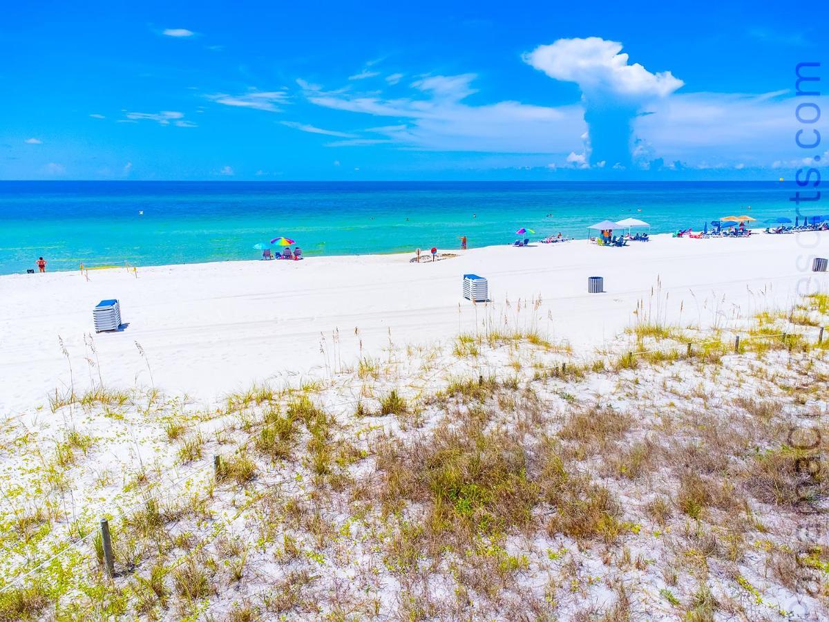 Apartment Sugar Shores At The Ocean Reef